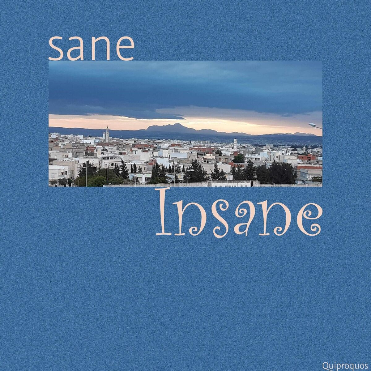 Album cover of Sane / Insane