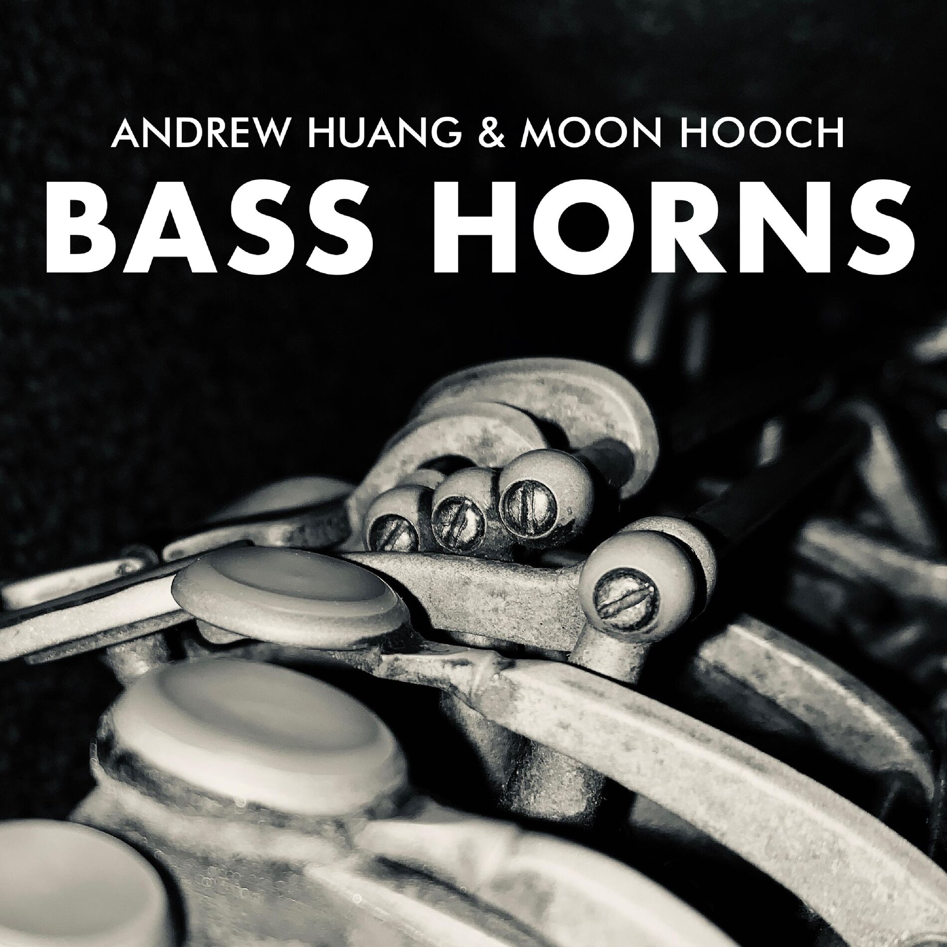 Album cover of Bass Horns
