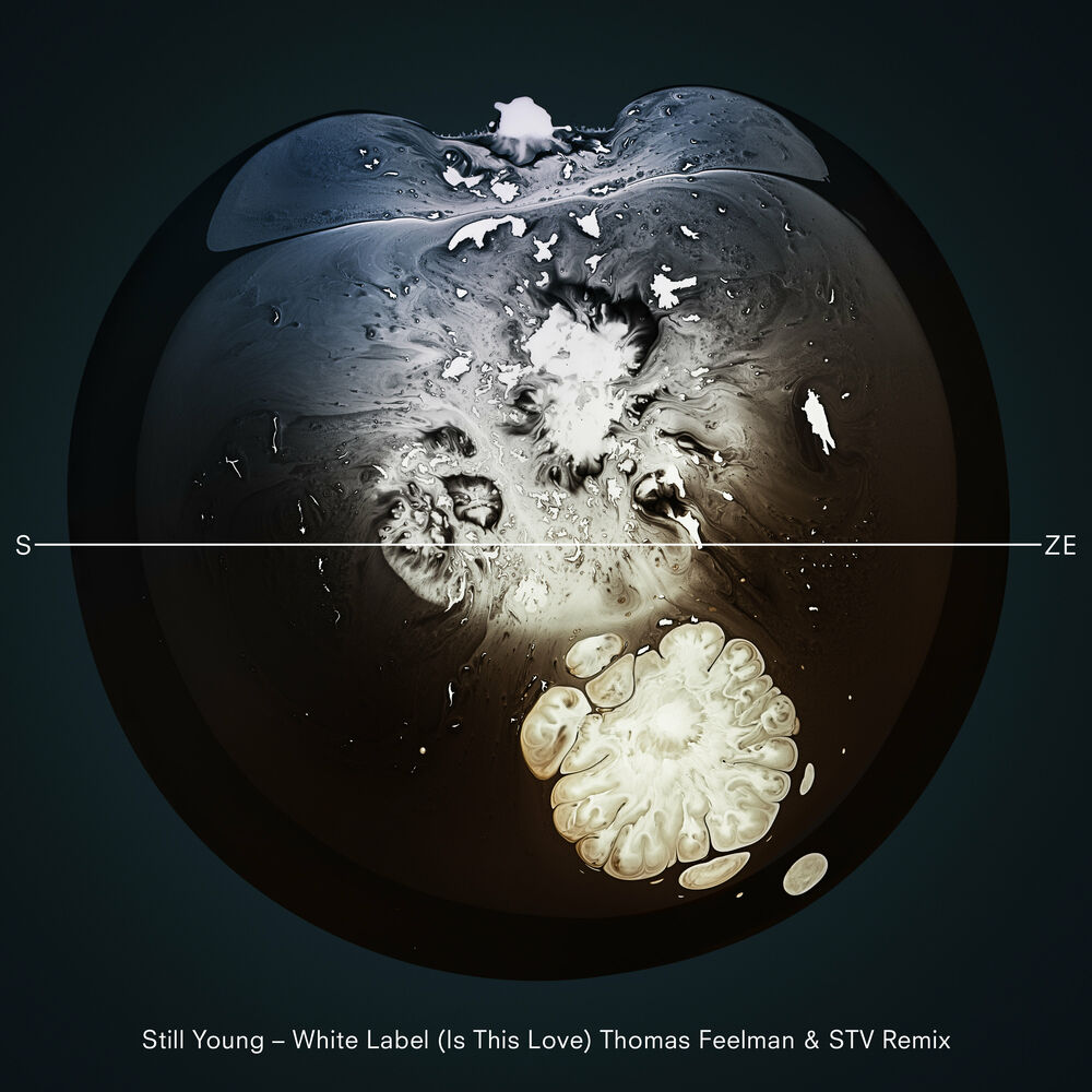 Picture of White Label (Is This Love) (Thomas Feelman & STV Remix)