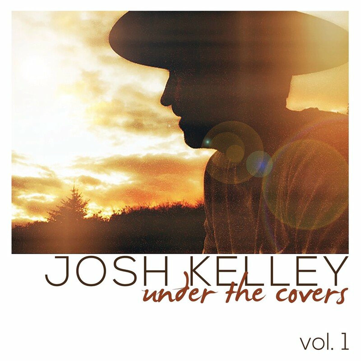 Album cover of Under the Covers, Vol. 1