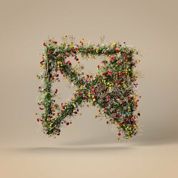 Cover of Shelter