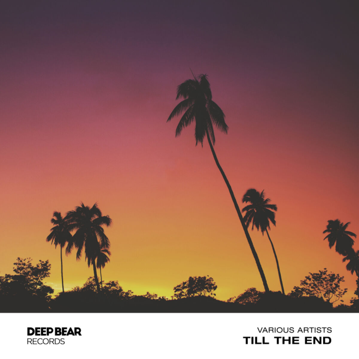 Album cover of Till the End