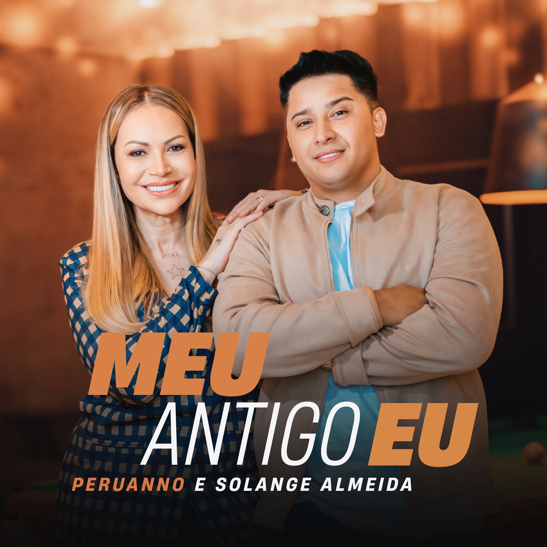 Album cover of Meu Antigo Eu