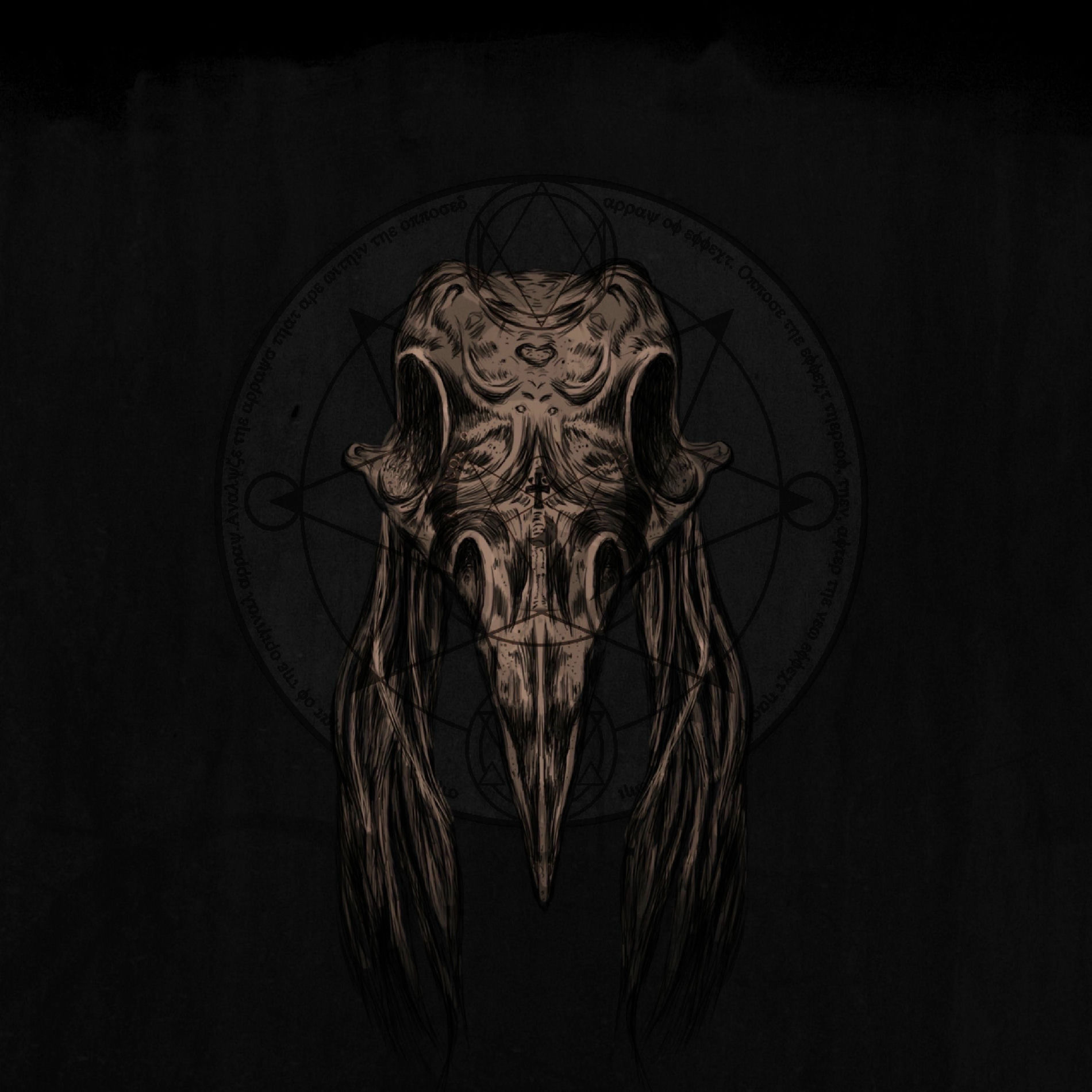 Album cover of Black