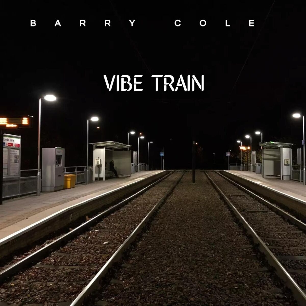 Album cover of Vibe Train