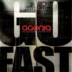 Cover of Go Fast