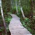 Boardwalk