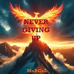 Cover of Never Giving Up