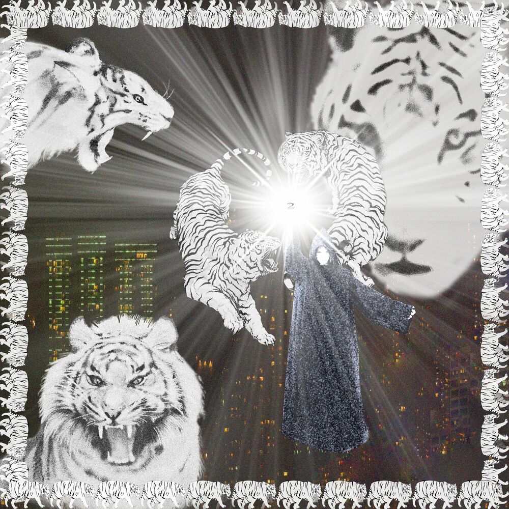 Picture of White Tiger
