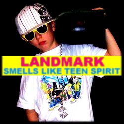 Cover of Smells like teen spirit