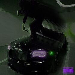 Cover of Covid Files