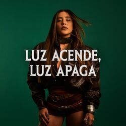 Cover of Luz acende e luz apaga