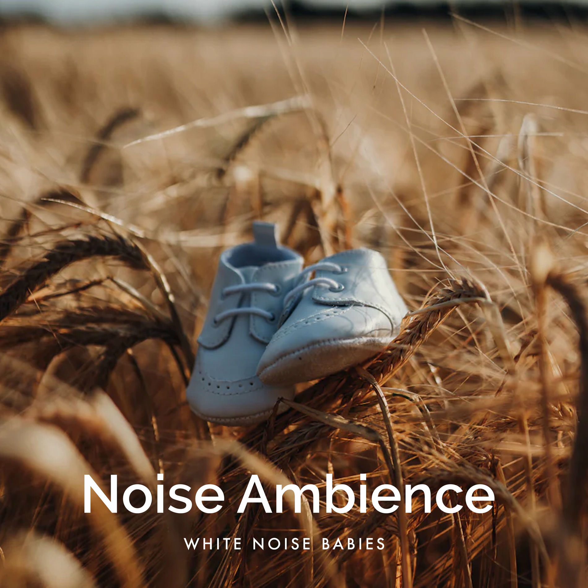 Album cover of Noise Ambience