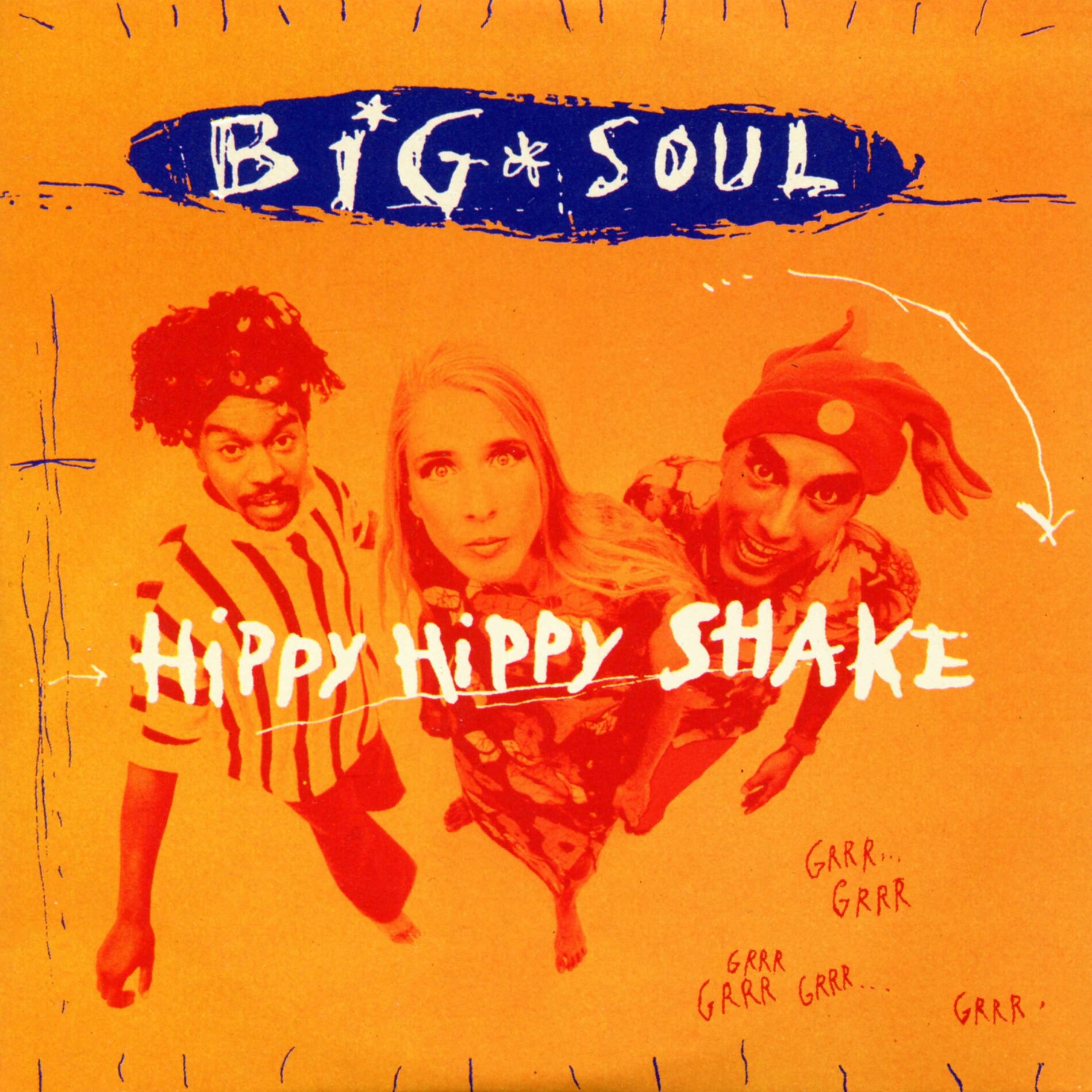 Album cover of Hippy Hippy Shake