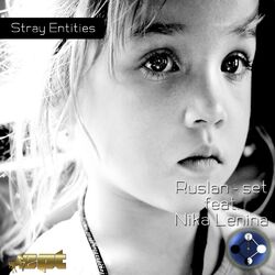 Cover of Stray Entities