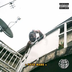 Cover of Toye Mabe