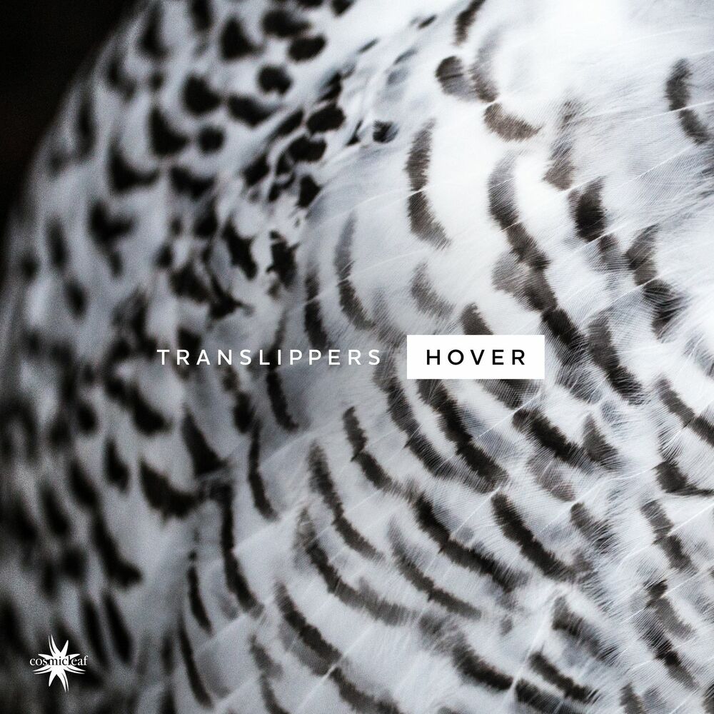 Picture of Hover