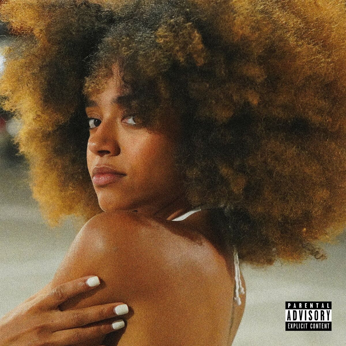 Album cover of Die (cover)