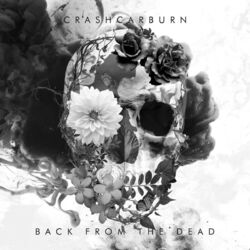 Cover of Back from the dead