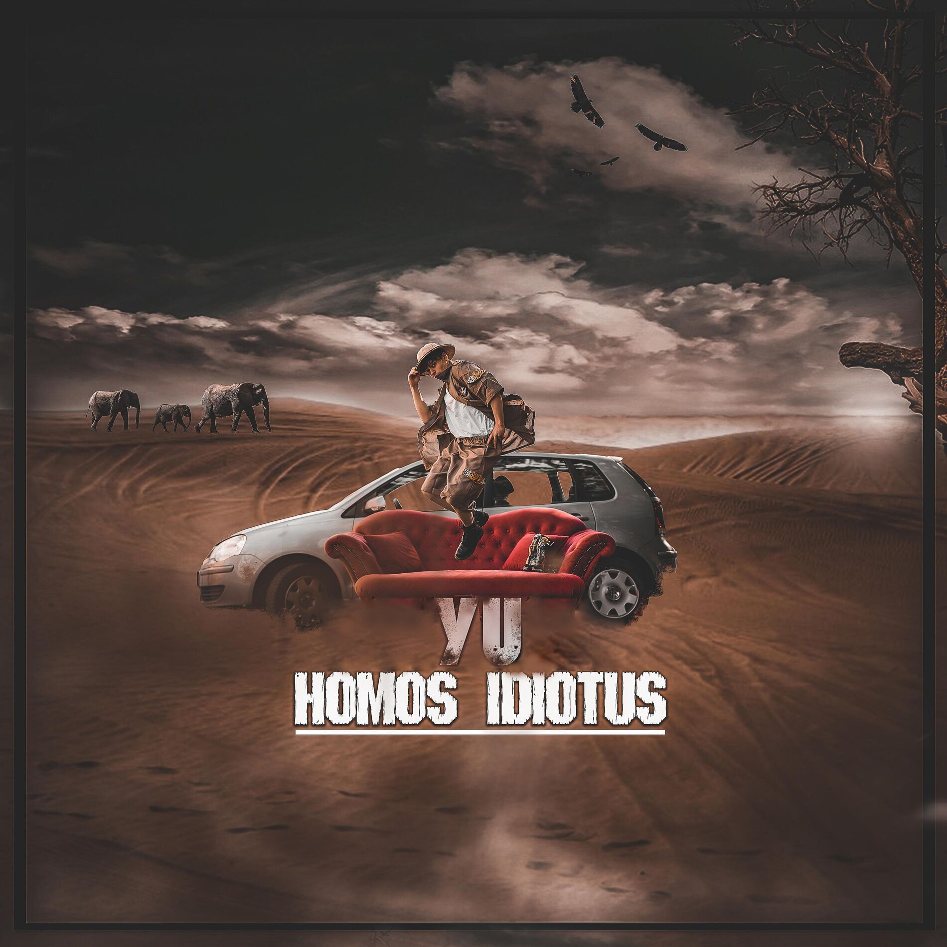 Album cover of Homos Idiotus