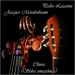 Cover of Chuva (Selva Amazônica)