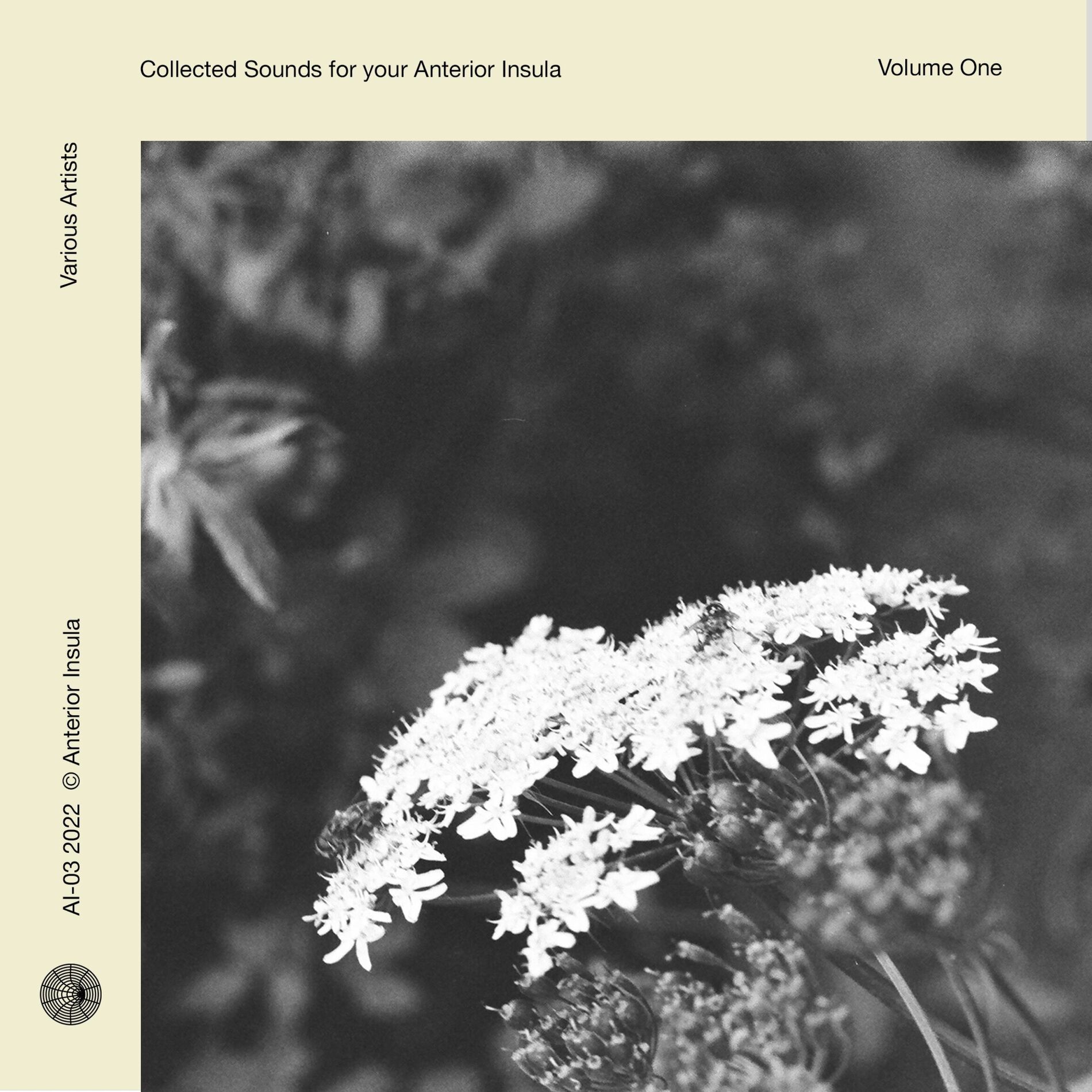 Album cover of Ikigai