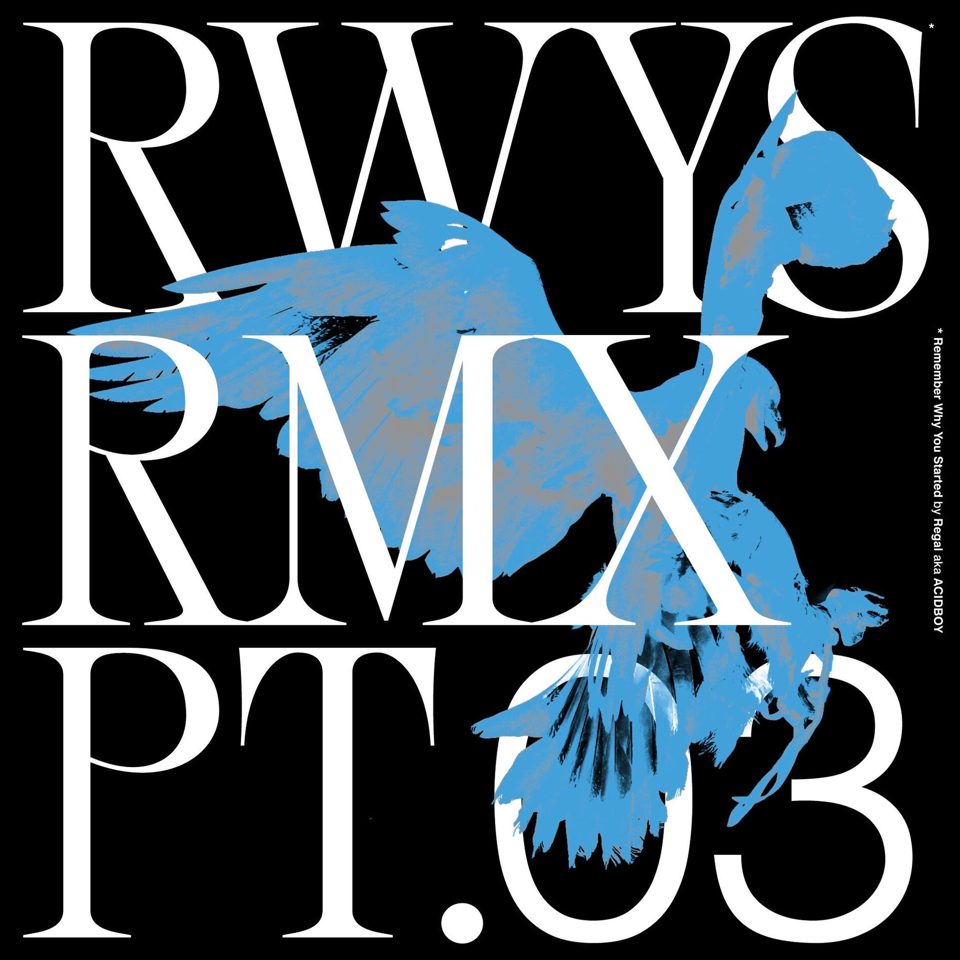 Album cover of RWYS Remixes Pt. 03