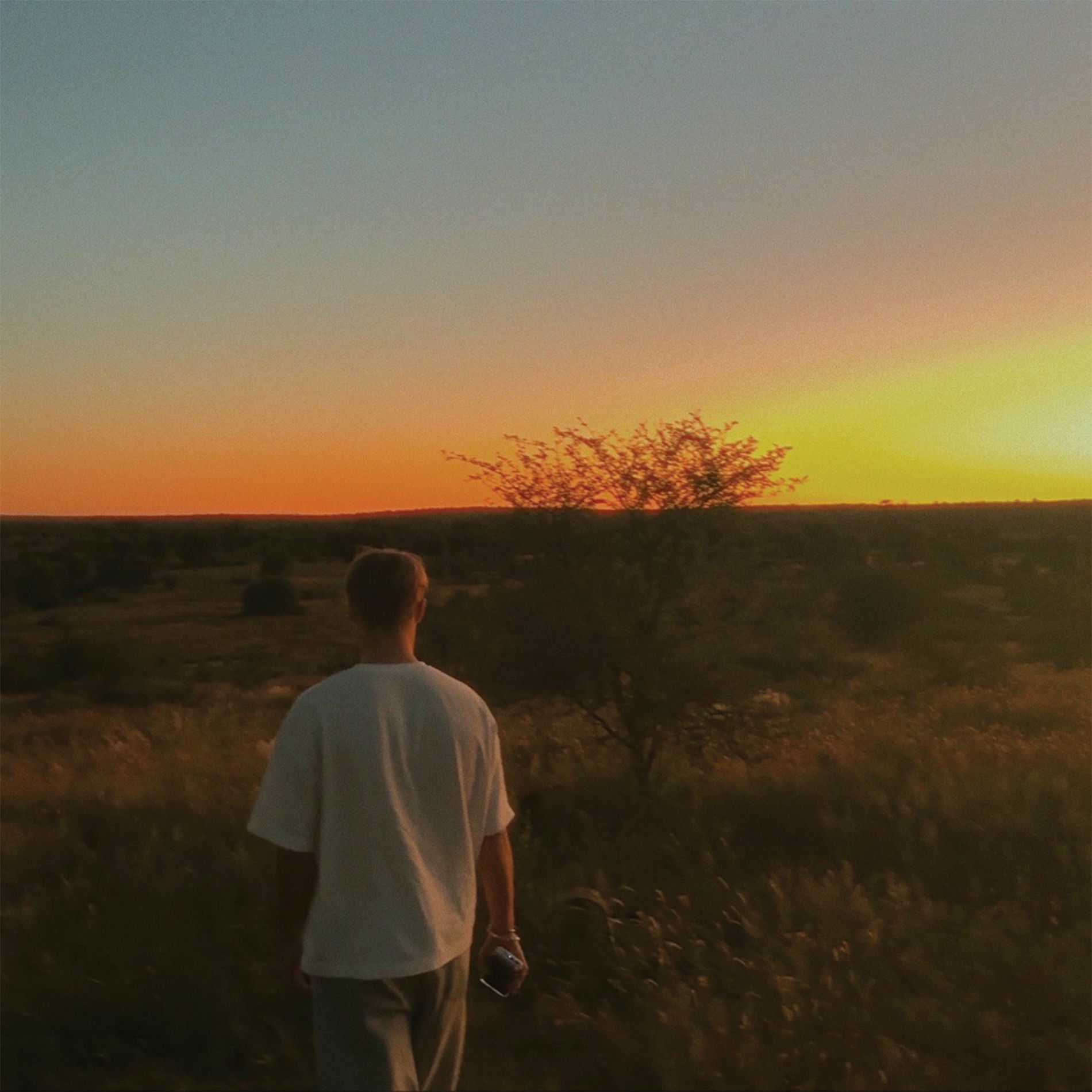 Album cover of Wo bist du hin?