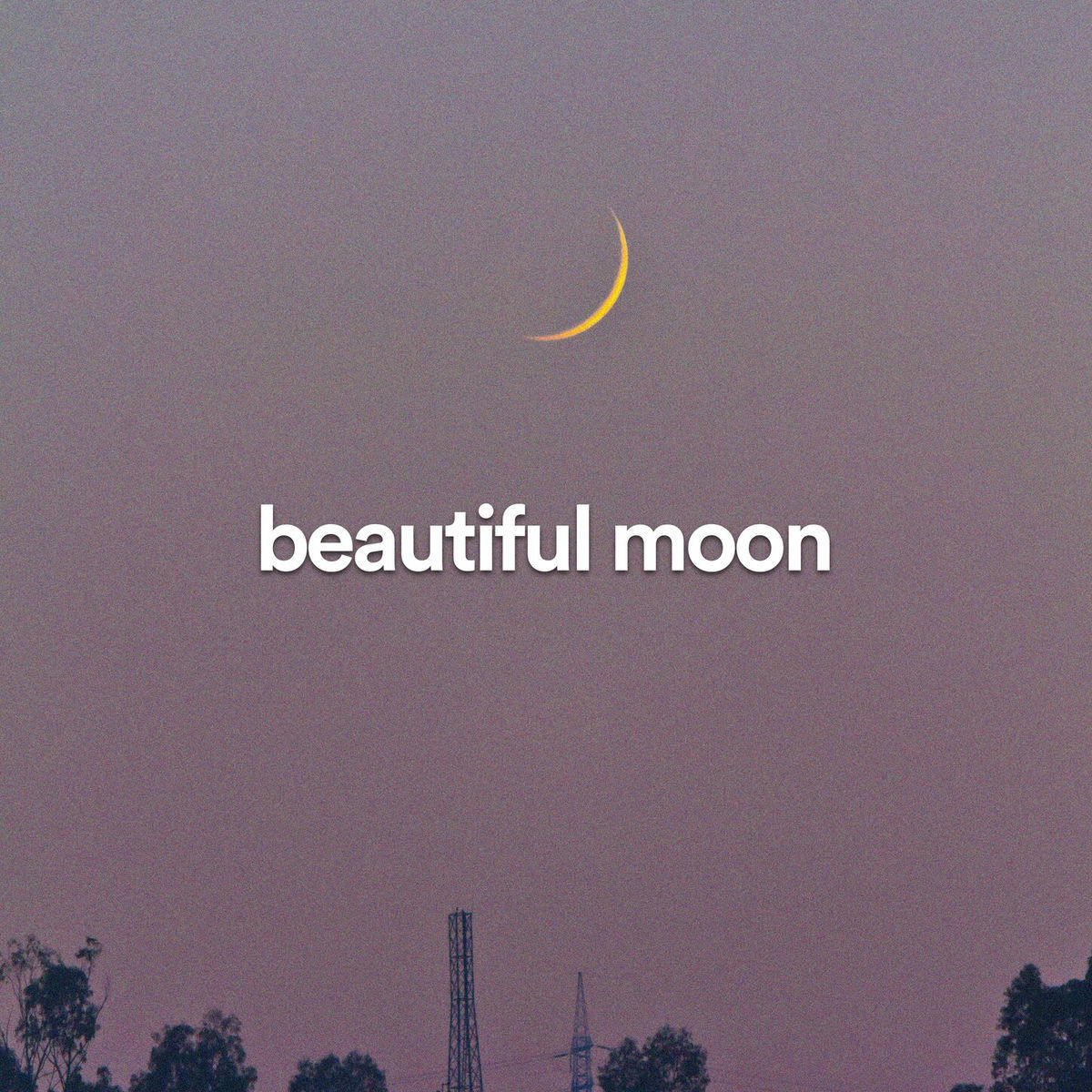 Album cover of beautiful moon