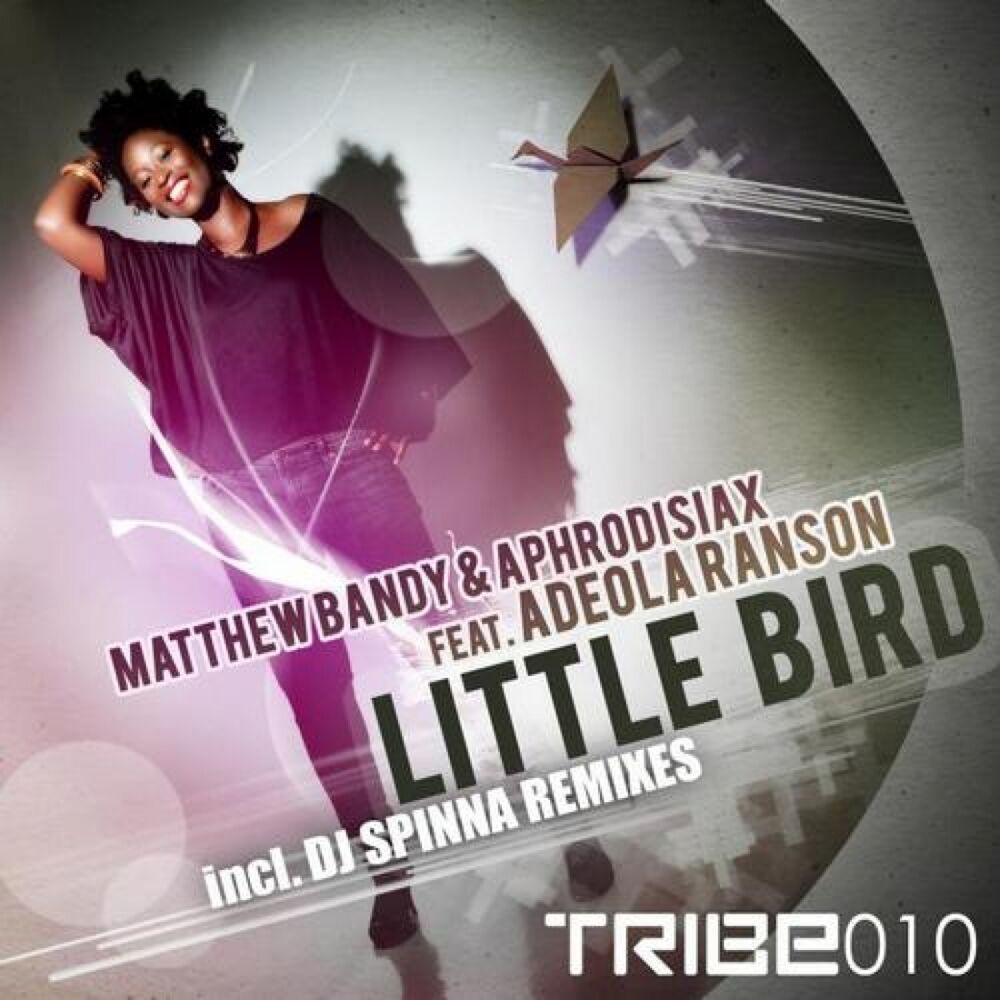 Picture of Little Bird