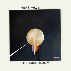 Cover of Delusion Moon