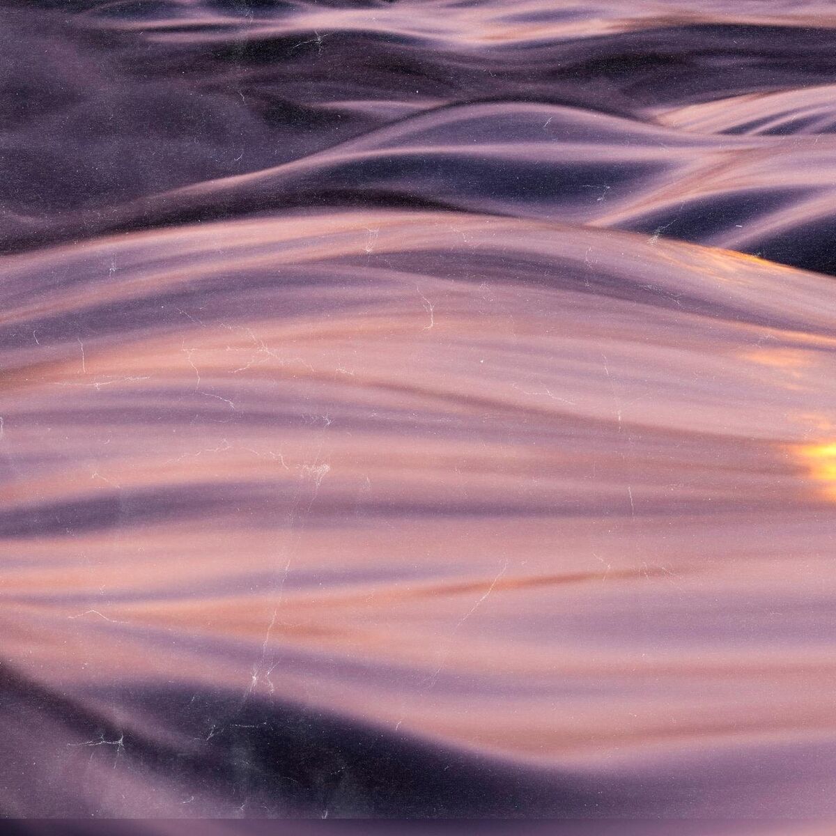 Album cover of Amazone Flows
