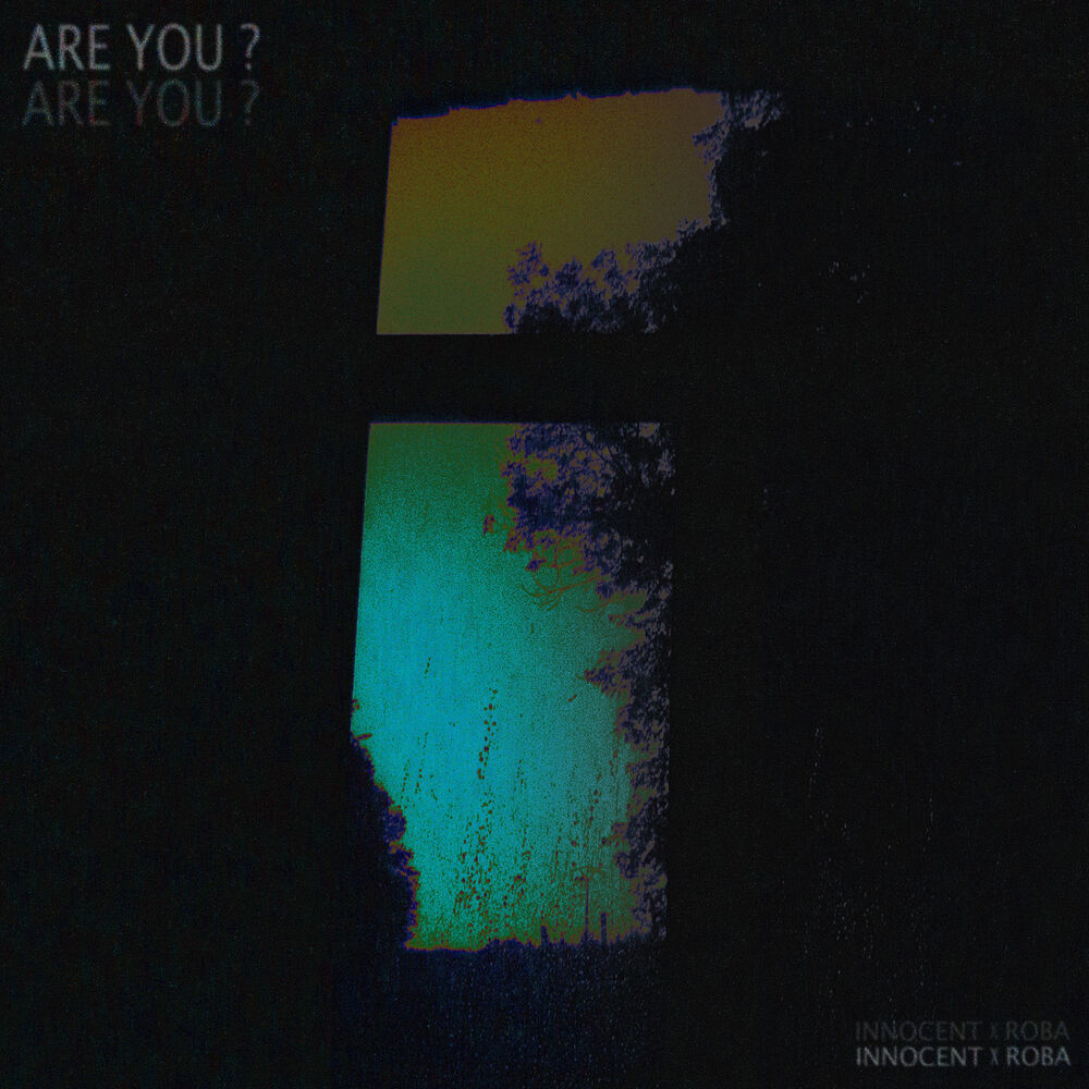 Picture of are you ? (feat. Roba)