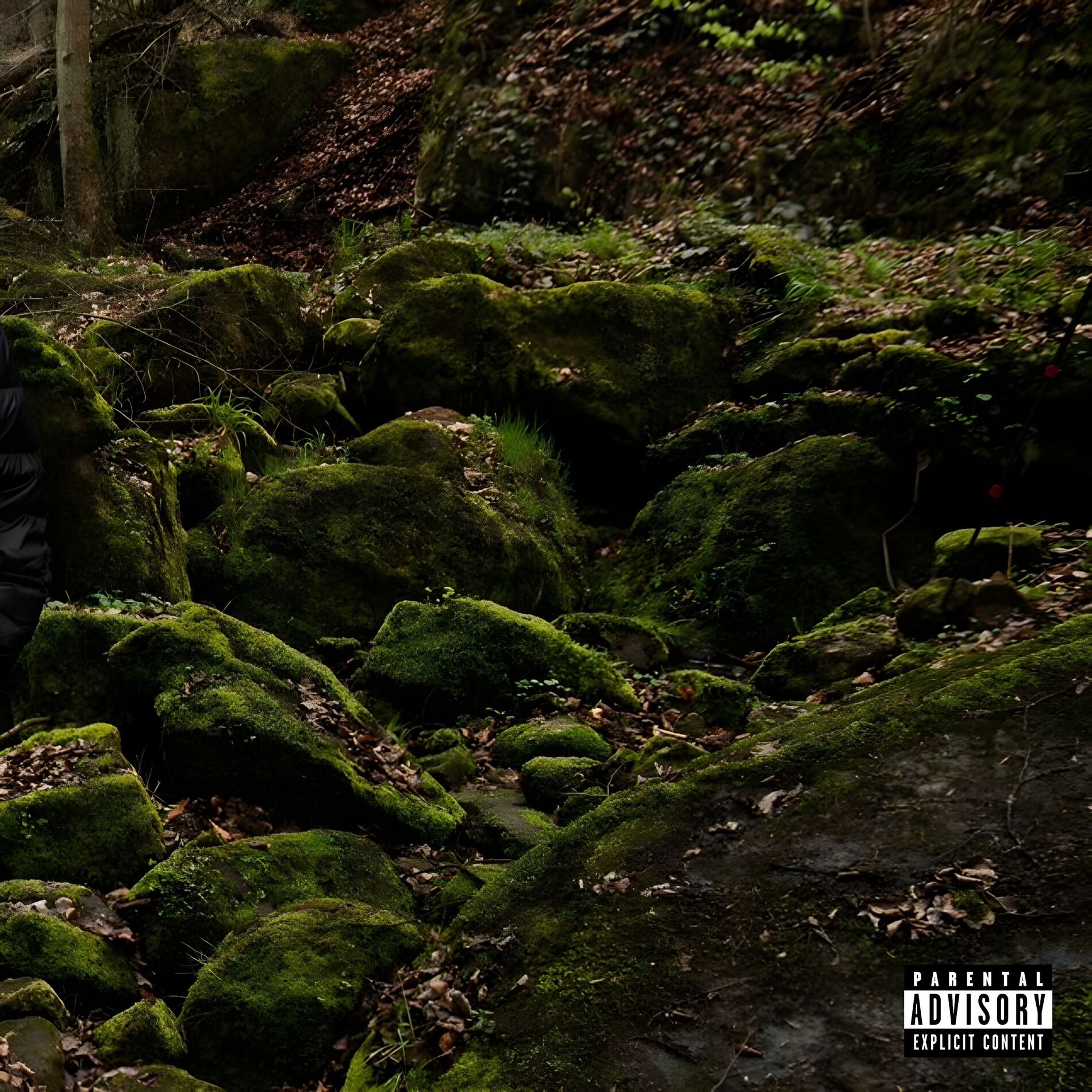 Album cover of NEZHASNU