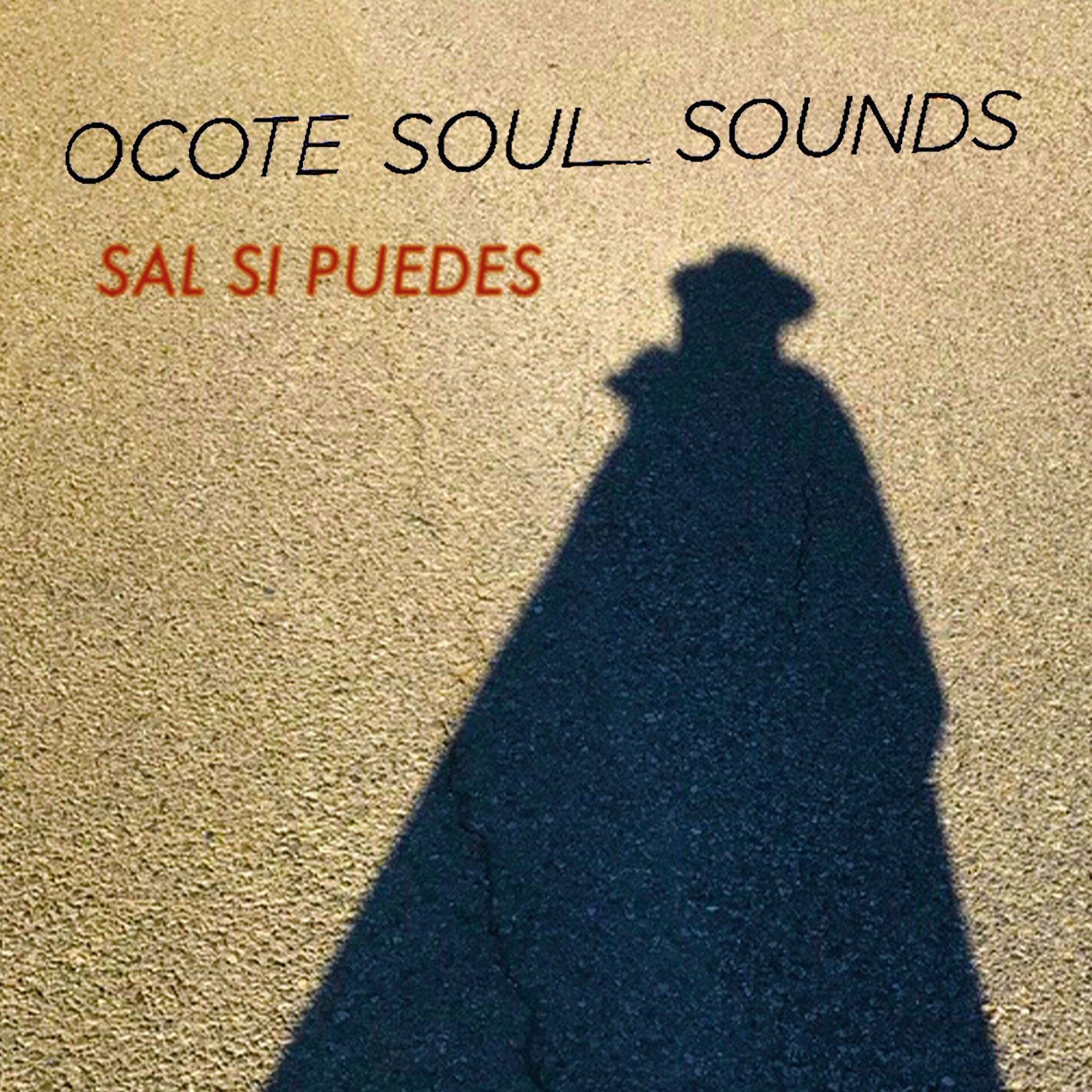 Album cover of Sal Si Puedes