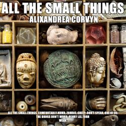 Cover of All the Small Things