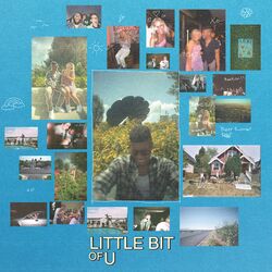 Cover of LITTLE BIT OF U