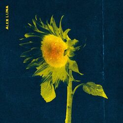 Cover of Flores Amarillas