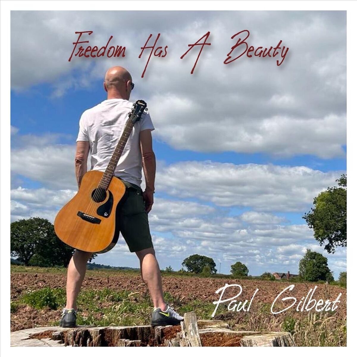 Album cover of Freedom Has a Beauty