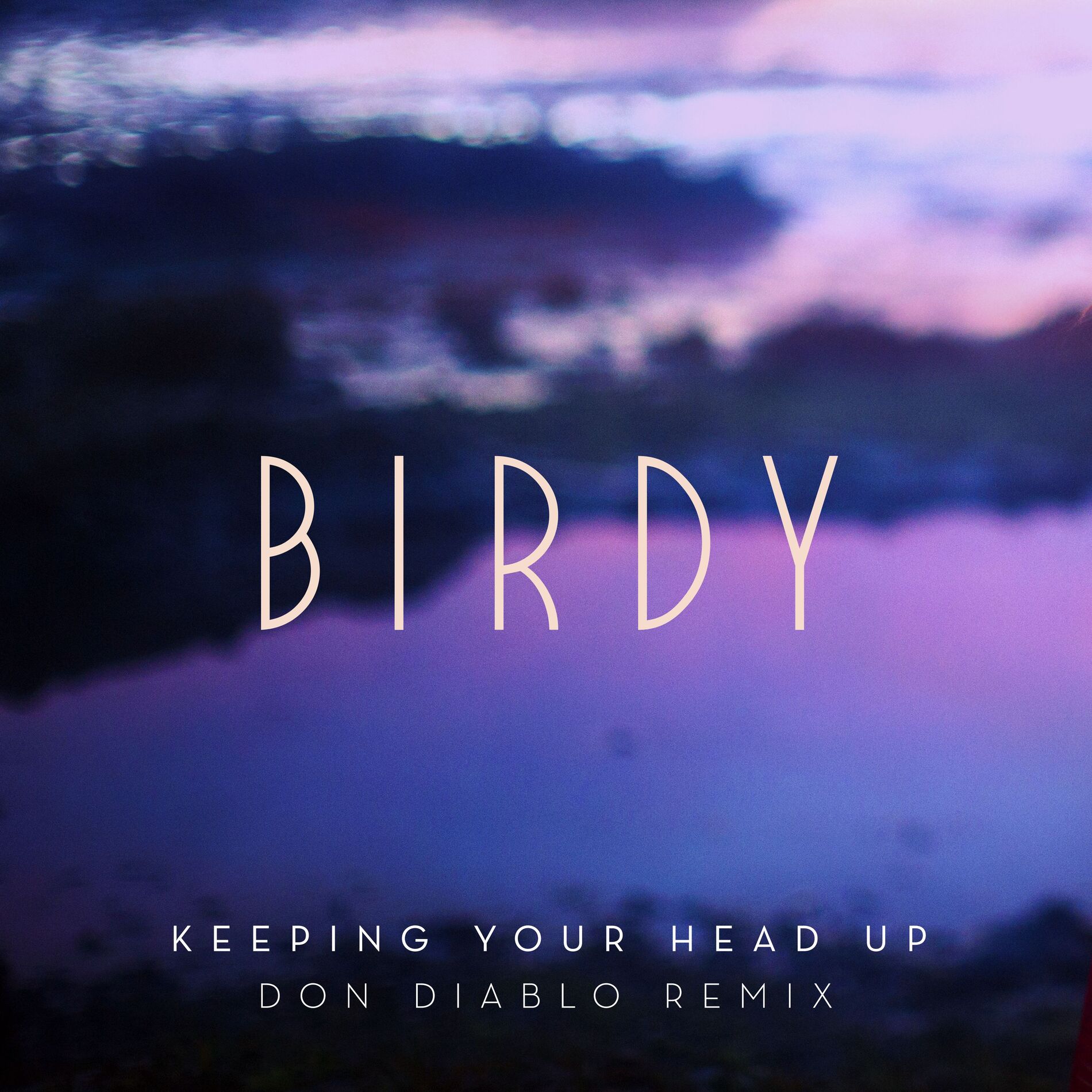 Album cover of Keeping Your Head Up