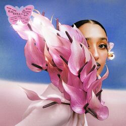 Cover of Where the Butterflies Go in the Rain (Deluxe)