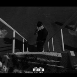 Cover of VIPER FREESTYLE