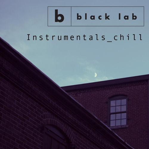 Instrumentals_chill sleeve