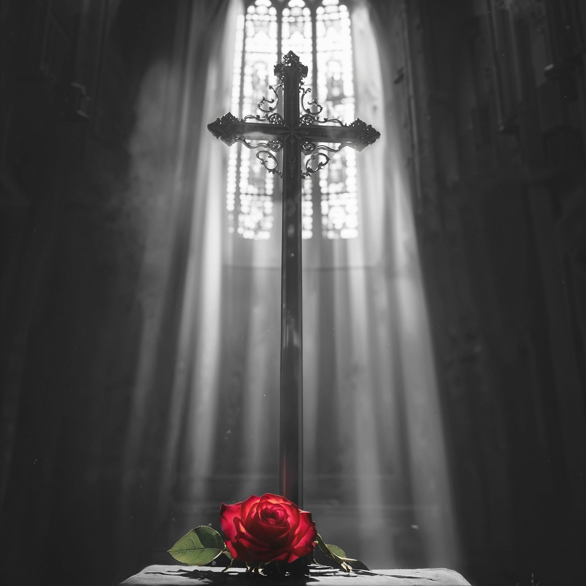 Album cover of Lost Your Faith