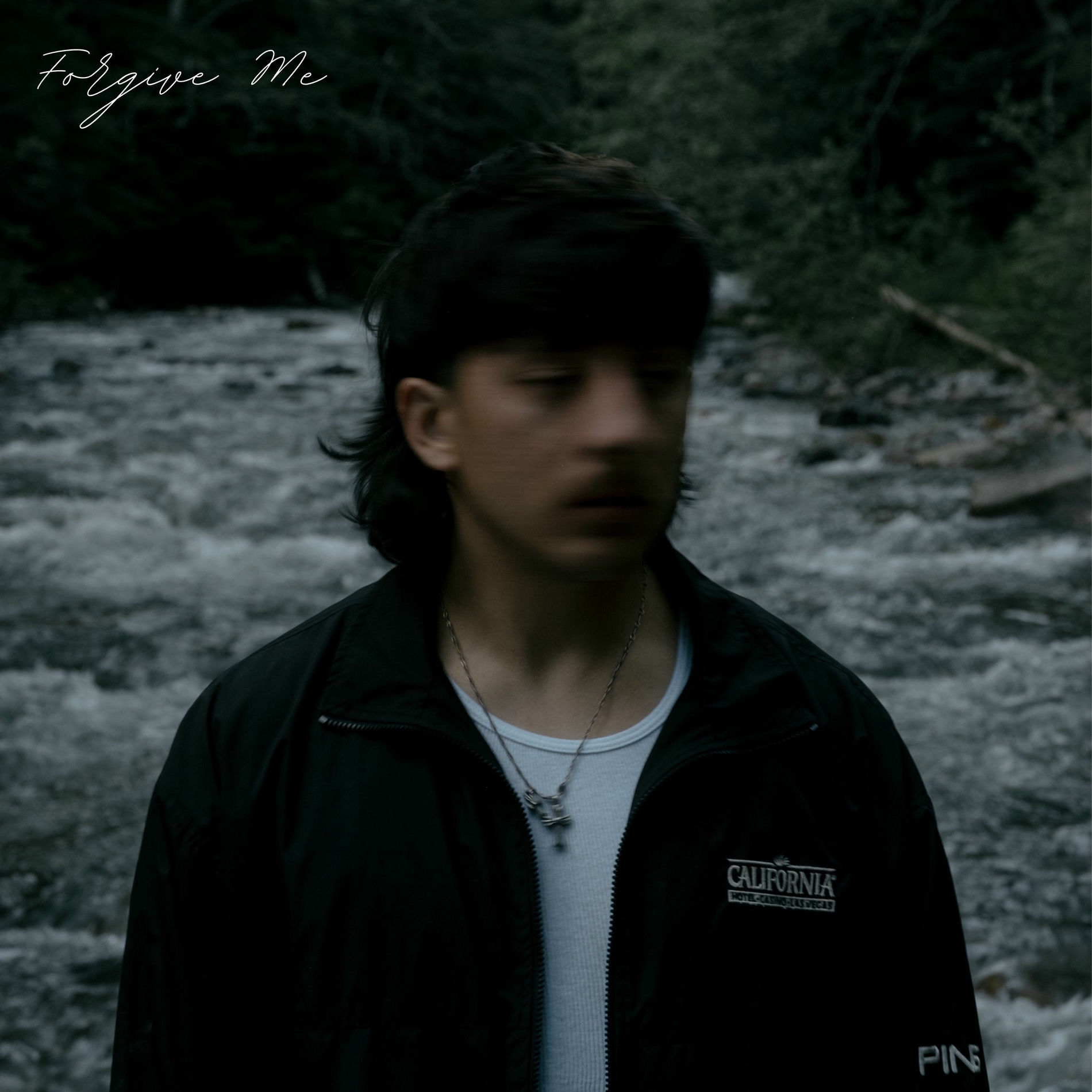 Album cover of Forgive Me