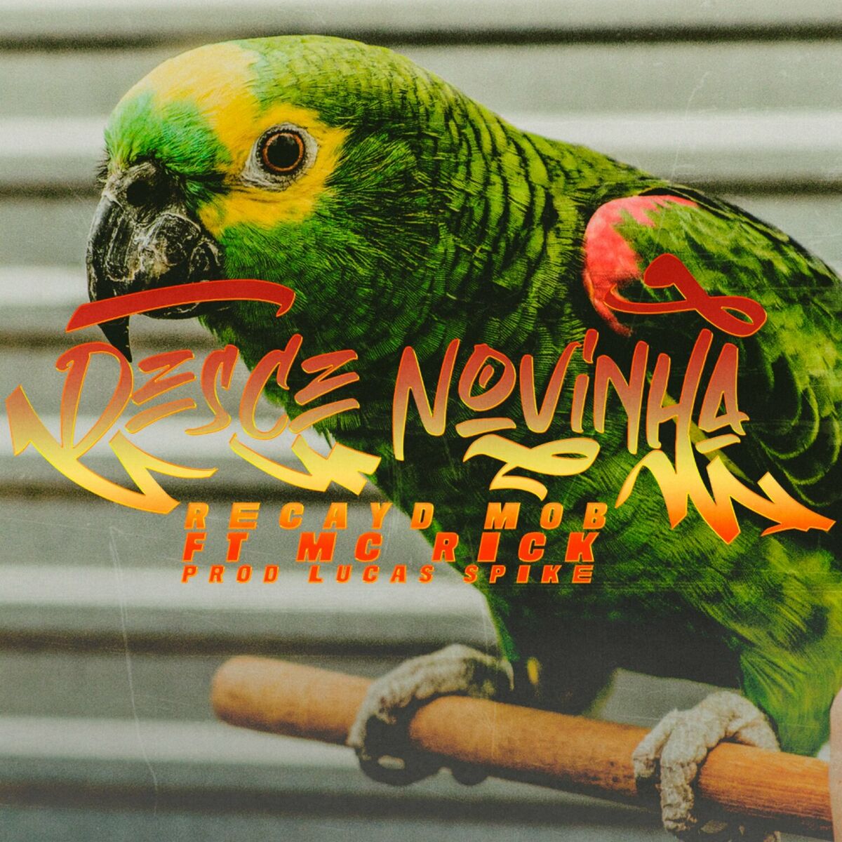 Album cover of Desce Novinha