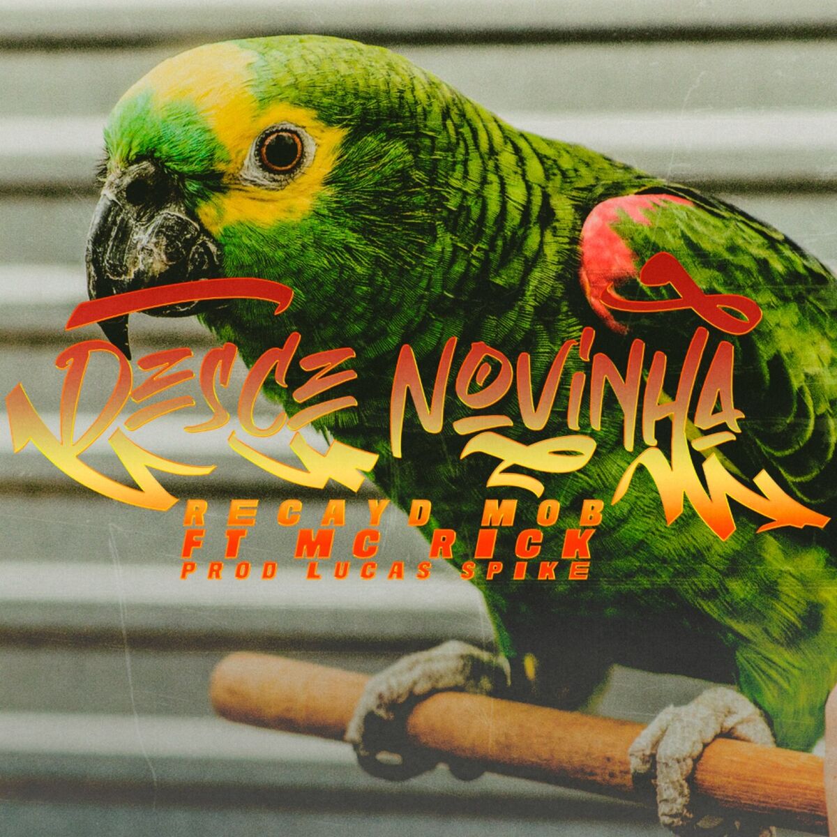 Album cover of Desce Novinha
