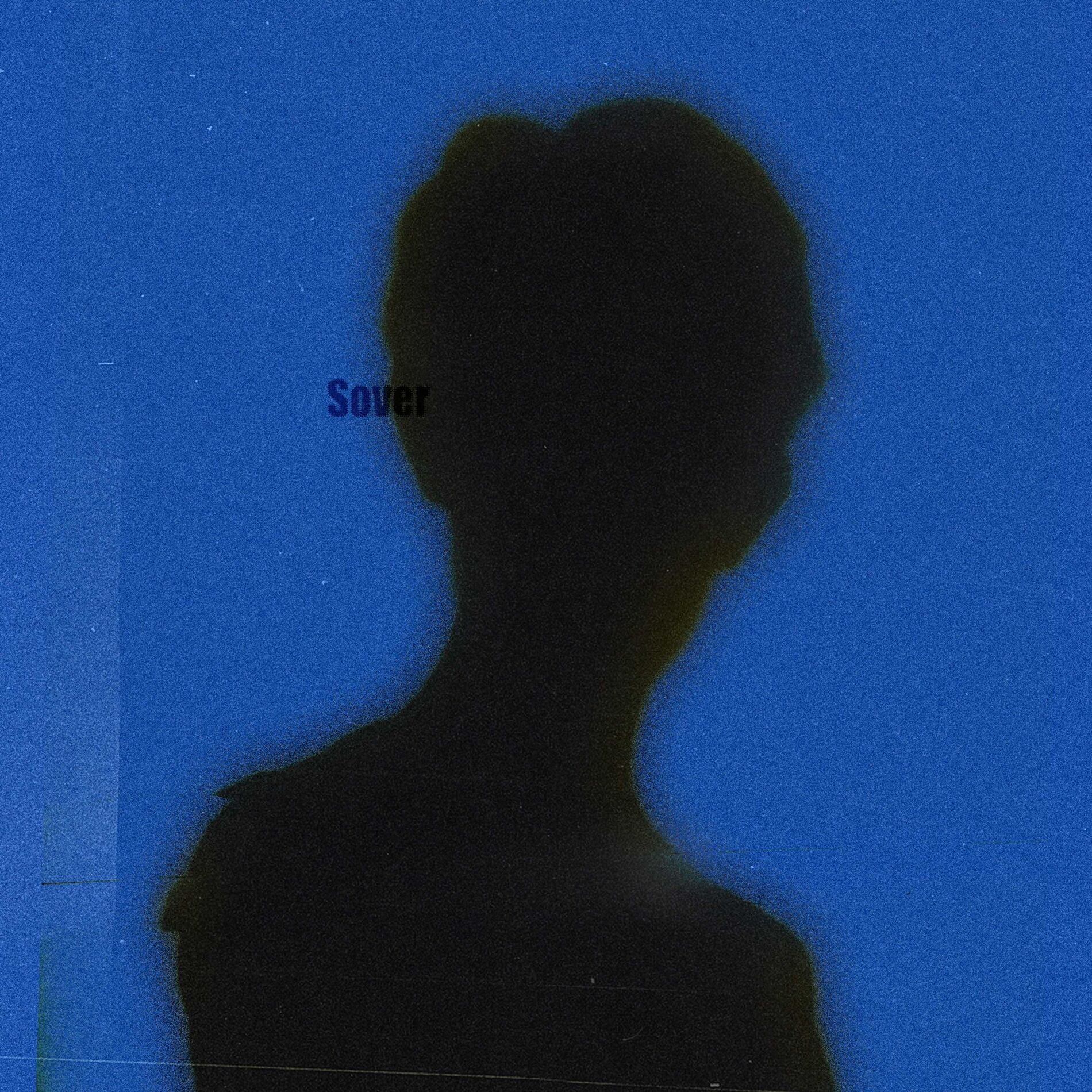 Album cover of Sover
