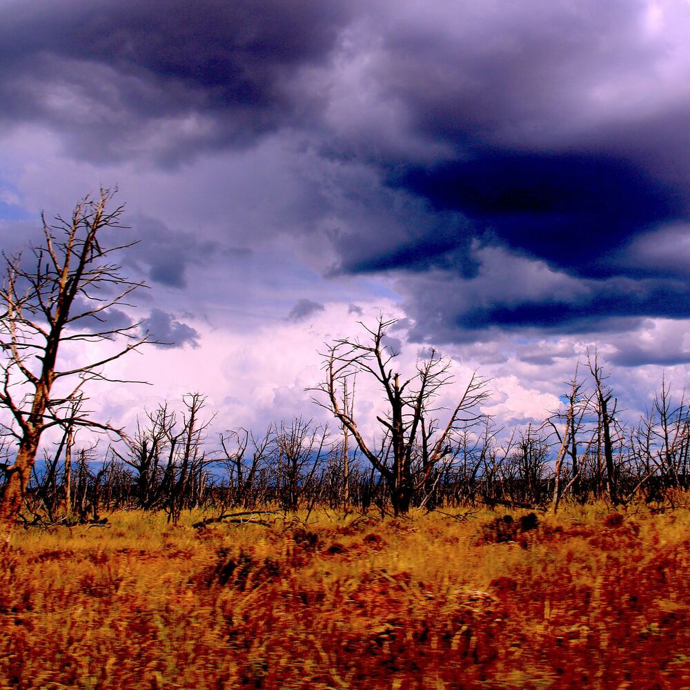 Picture of Before the Storm