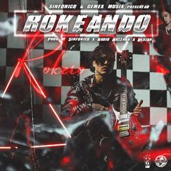 Cover of Rokeando